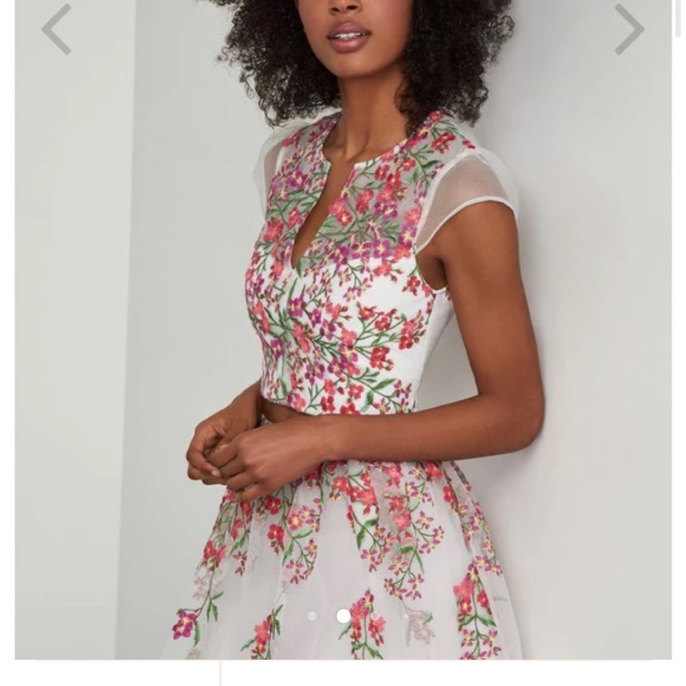 BCBGMaxAzria Pink Floral Sheer Crop Top